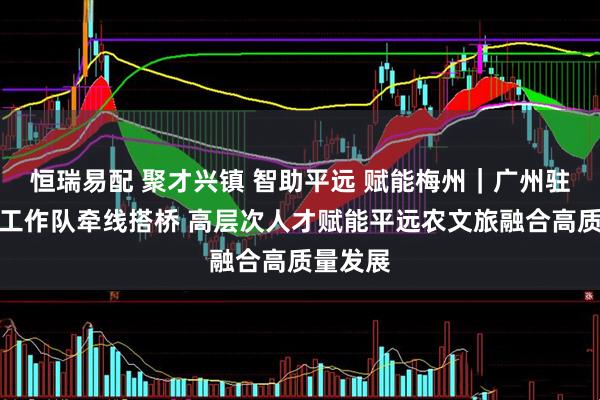 恒瑞易配 聚才兴镇 智助平远 赋能梅州｜广州驻大柘镇工作队牵线搭桥 高层次人才赋能平远农文旅融合高质量发展