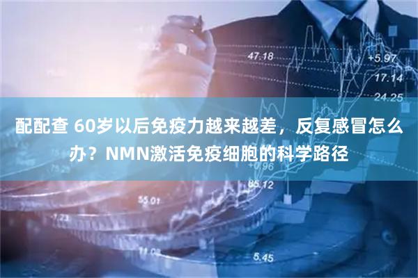 配配查 60岁以后免疫力越来越差，反复感冒怎么办？NMN激活免疫细胞的科学路径